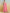 Mitera Zari Pure Cotton Chanderi Saree