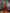 Joban Fashion Banarasi Green Woven Soft Silk Saree