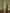 Astita Linen Cotton Green Saree