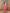 Sztori Plus Size Printed Regular Kurta with Palazzos