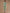 Swasti Women Green Floral Printed Flared Sleeves Mirror Work Floral Kurta