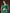 kasee Floral Embroidered Net Saree