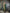 Joban Fashion Banarasi Dark Green Woven Soft Silk Saree
