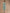 Swasti Women Green Floral Printed Keyhole Neck Thread Work Floral Kurta