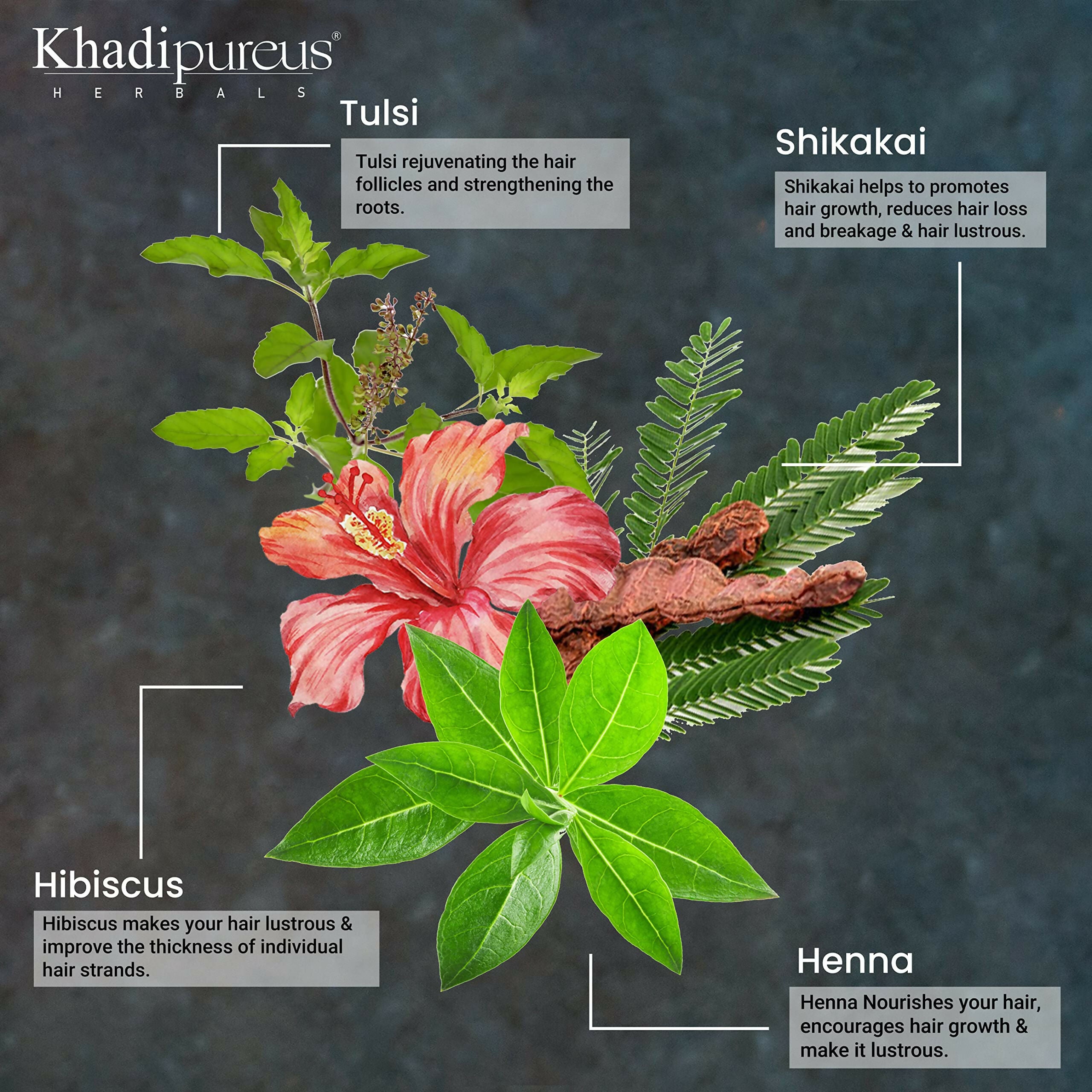 Khadi Pureus Herbals Shreekesha 10 Herbs in 1 Shampoo - Distacart