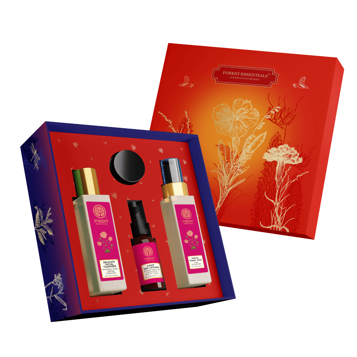 download - 2025-01-23T134346.543