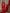 Varanga Women Red Floral Printed Anarkali Kurta Paired With Tonal Bottom And Tonal Solid Chiffon Dupatta