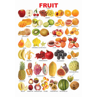 Thumbnail for Dreamland Publications Educational Chart for Kids - Fruits (All in One) - Distacart