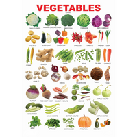 Thumbnail for Dreamland Publications Educational Chart for Kids - Vegetables - Distacart