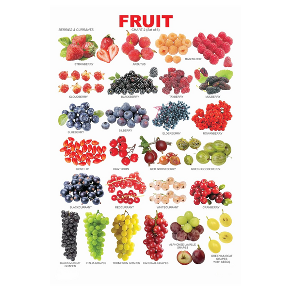 Dreamland Publications Educational Chart for Kids - Fruit Chart - 2 - Distacart