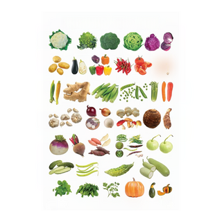 Dreamland Publications Educational Chart for Kids - Vegetables - Distacart