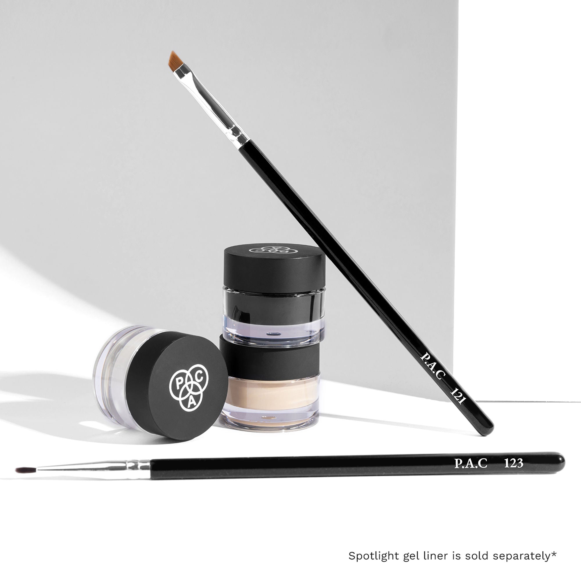 PAC Studio Eyeliner Brush Combo - 121 & 123 - Distacart