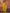 Vegaa Fashion Mustard Vichitra Silk Embroidered Salwar Suit