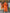 Vegaa Fashion Orange Reyon Embroidered Salwar Suit
