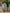 Vegaa Fashion Pista Green Jacquard Silk Printed Salwar Suit
