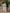 Vegaa Fashion Off White Roman Silk Embroidered Salwar Suit