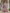 Vegaa Fashion Pink Rayon Embroidered Salwar Suit