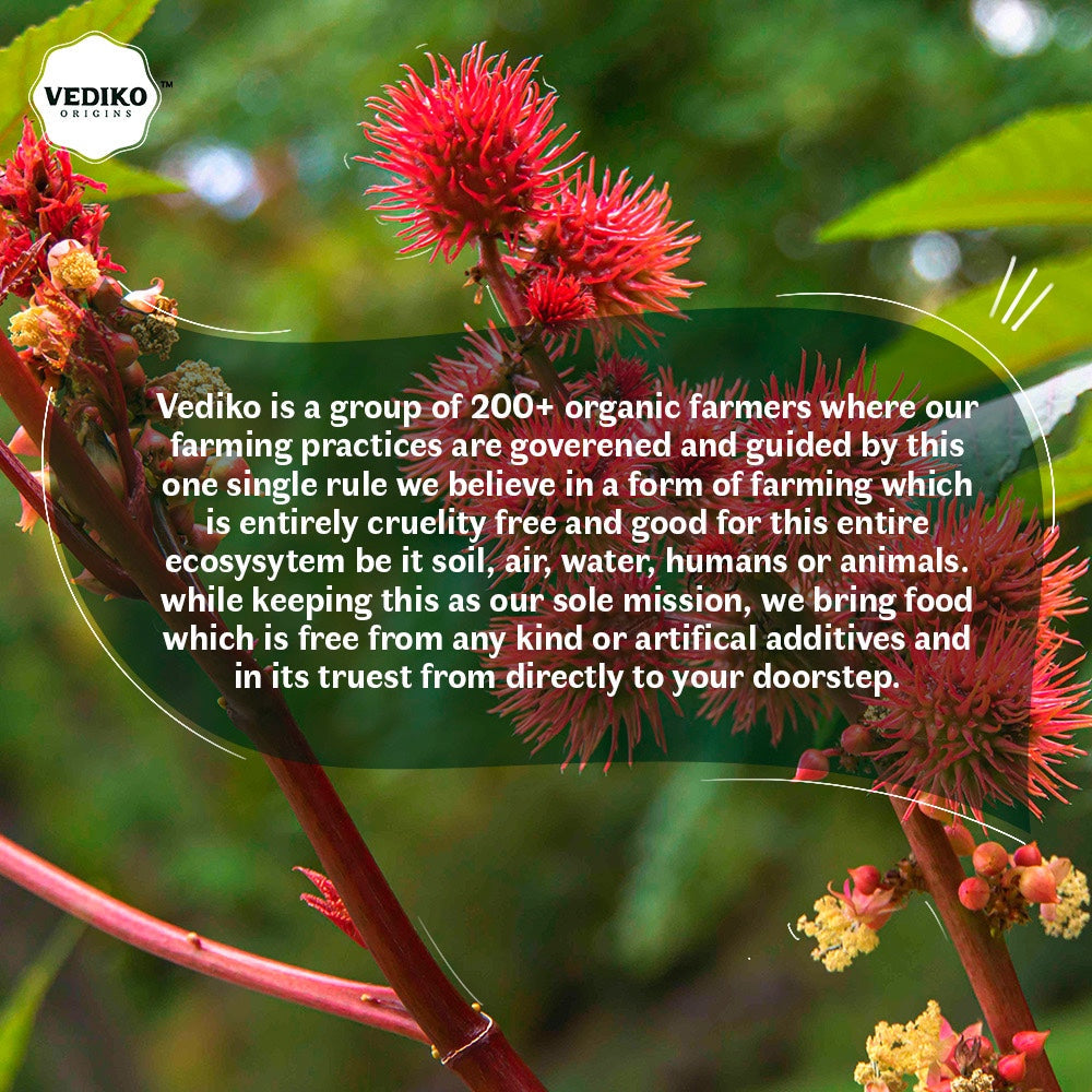 Vediko Origins Castor Oil - Distacart