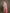 Monjolika Fashion Elegant Pink And Cream Banarasi Silk SareeWith Intricate Zari Work - Distacart