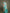 Monjolika Fashion Elegant Turquoise And Cream Banarasi Silk SareeWith Intricate Zari Work - Distacart