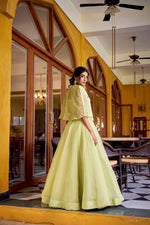 Thumbnail for Lorenvalley Fashion Limegreen Allnen Crush Plain Lehenga Choli with Koti - Distacart
