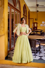 Thumbnail for Lorenvalley Fashion Limegreen Allnen Crush Plain Lehenga Choli with Koti - Distacart