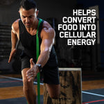 Thumbnail for Optimum Nutrition Gold Standard 100% Whey Protein Powder (Double Rich Chocolate) 4 kg + Multivitamin for Men-60 Tablets + (ZMA)-60 Capsules + Fish Oil-60 Capsules