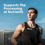 Thumbnail for Optimum Nutrition Performance Whey Protein Powder (Chocolate Milkshake) 1kg & Multivitamin 60 Tablets for Men