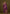 Monjolika Fashion Dark Violet Banarasi Silk Blend SareeWith Zari Woven Detailing - Distacart