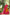 Lorenvalley Mustard Artistry in Tussar Silk with Bandhej Print Lehenga Choli - Distacart