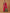 Monjolika Fashion Pink Banarasi Silk Blend SareeWith Zari Woven Rich Brocade Design - Distacart