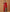 Monjolika Fashion Red Banarasi Silk Blend SareeWith Zari Woven Rich Brocade Design - Distacart