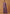 Monjolika Fashion Lavender Banarasi Silk Blend SareeWith Traditional & Modern Dulha Dulhan Figure Zari Woven Detailing - Distacart