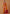 Monjolika Fashion Amber Banarasi Silk Blend SareeWith Traditional & Modern Dulha Dulhan Figure Zari Woven Detailing - Distacart