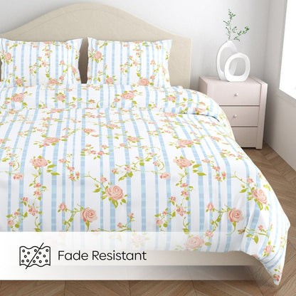 Haus & Kinder Rosaline Stripes 100% Cotton Double Size Bedsheet, 144 TC - Dista