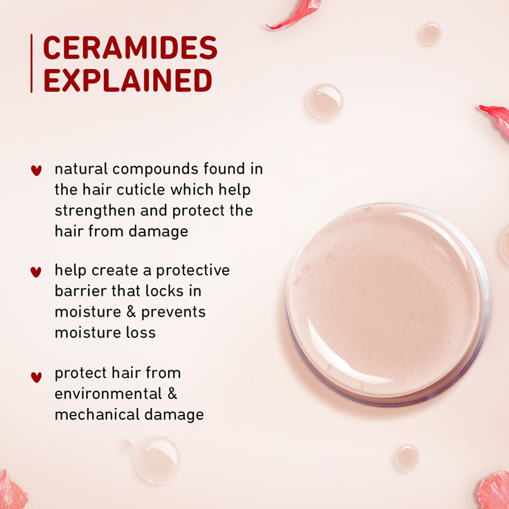 Plum Hibiscus & Ceramides Conditioner For Healthy- Long Hair - Distacart
