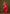 Monjolika Fashion Pink Woven Silk Blend SareeWith Zari Work & Floral Motifs - Distacart
