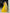 Lorenvalley Yellow Georgette Plain Lehenga Choli with Embroidery work Dupatta - Distacart