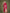 Monjolika Fashion Divine Rani Pink Soft Banarasi Satin Silk Saree With Blouse Piece