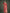 Monjolika Fashion Banarasi Silk Red Zaal Pattern Traditional Saree