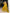 Lorenvalley Mustard Vichitra Silk Sequins and Thread Embroidery Work Lehenga Choli - Distacart