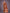 Monjolika Fashion Red Colour Banarasi Silk Zari Weaving Classic Saree