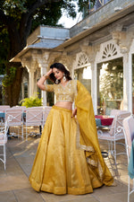 Thumbnail for Lorenvalley Mustard Goldie Plain Lehenga with Sequins Thread Embroidery Work Choli - Distacart