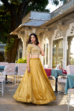 Thumbnail for Lorenvalley Mustard Goldie Plain Lehenga with Sequins Thread Embroidery Work Choli - Distacart