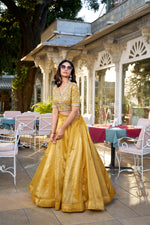 Thumbnail for Lorenvalley Mustard Goldie Plain Lehenga with Sequins Thread Embroidery Work Choli - Distacart