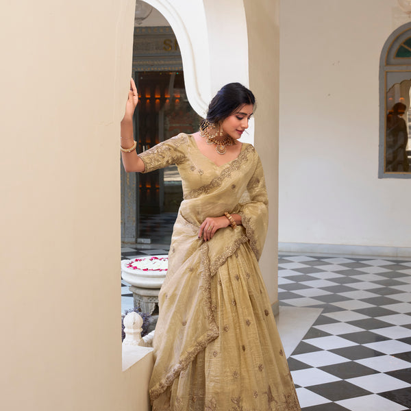 Lorenvalley Cream Gold Crush Fabric with Sequins and Thread Embroidery Work Lehenga Choli - Distacart