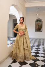 Thumbnail for Lorenvalley Cream Gold Crush Fabric with Sequins and Thread Embroidery Work Lehenga Choli - Distacart