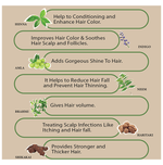 Thumbnail for Minature Dark Brown Henna Powder Enriched with Herbs