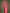 Monjolika Fashion Rani Pink Colour Banarasi Silk Zari Weaving Classic Saree