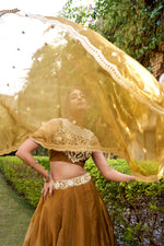 Thumbnail for Lorenvalley Fashion Brown Chanda Silk Plain With Sequins and Thread Embroidery Work Belt Lehenga Choli with Dupatta - Distacart